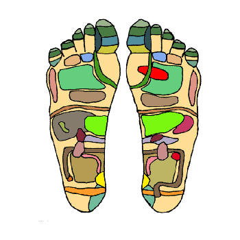 Reflexology